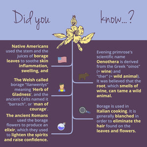 Vegavero Organic Evening Primrose Oil | with Organic Borage Seed Oil | Cold-Pressed | 90 Capsules | NO Additives, Lab-Tested | Rich in Linoleic Acid, Omega 3 & GLA | Vegan