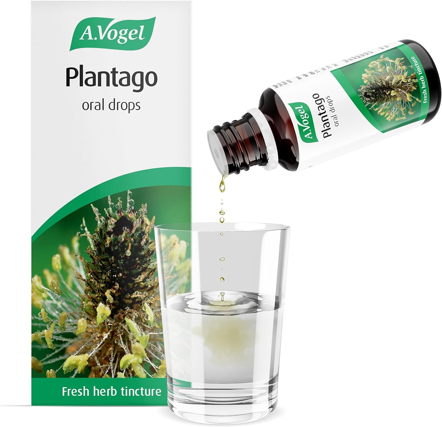 A.Vogel Plantago Drops | Organically Grown & Freshly Harvested |Suitable for Adults & Children from the Age of 2 | Suitable for Vegans | 50Ml