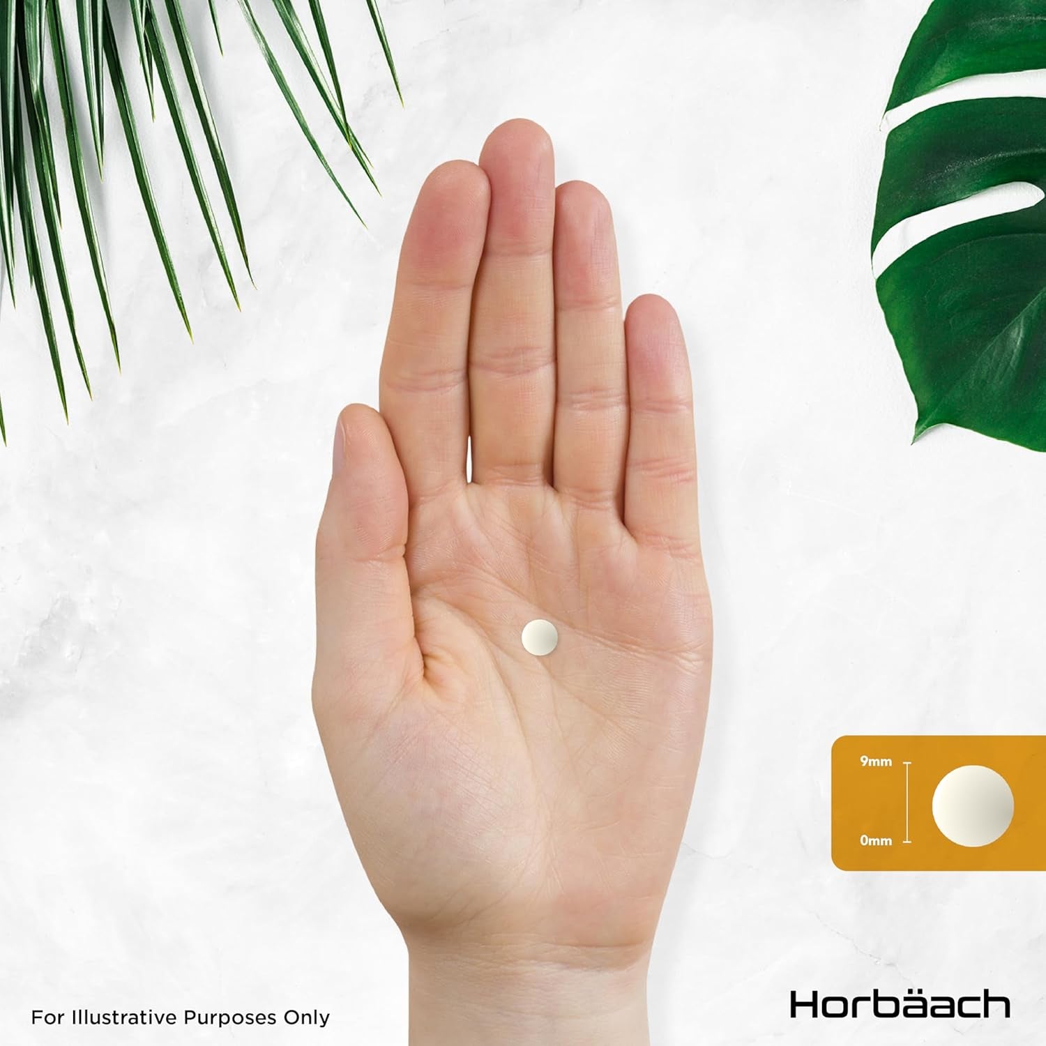 Ginger Root Tablets 3000Mg | High Strength Ginger Root Extract | Zingiber Officinale | 200 Tablets - Vegetarian & Vegan | by Horbaach