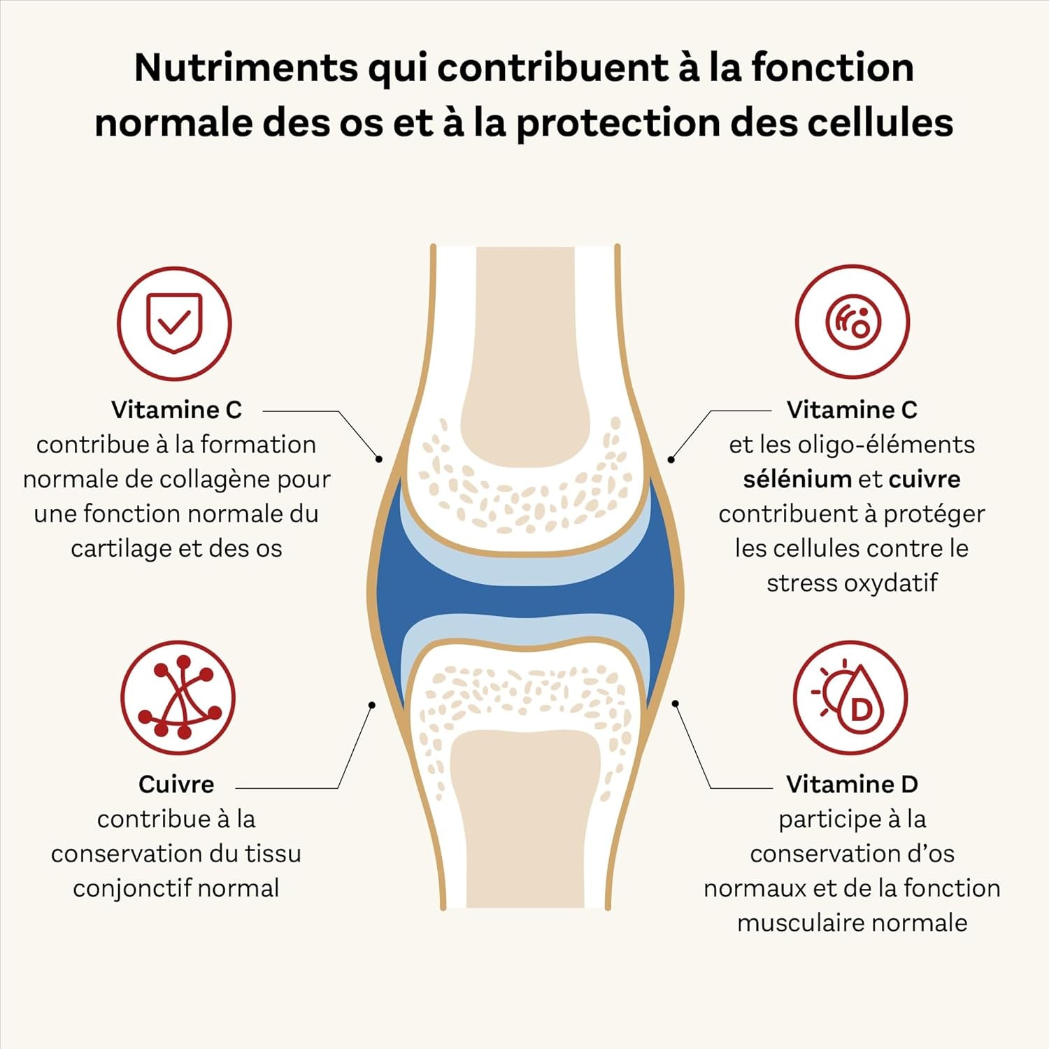 Doppelherz - Kollagen 11000 plus - Collagen Hydrolysate, Chondroitin Sulphate, Vitamins C and D and Trace Elements - for Bones, Cartilages and Tendons - Wild Berry Flavour Liquid- 30 Bottles of 25Ml