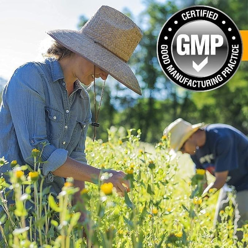 Stinging Nettle Leaf Tincture Drops - Fresh Plant Extract Organically Harvested 100 Servings - Nettle Supplement 100% Nettle Extract - Highest Concentrate - UK Produced - GMDP Certified/Vegan/Non GMO