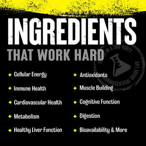 ANIMAL Pak Ultimate Foundation - 12-In-1 Multivitamin Complex with Vitamins, Minerals & Amino Acids - with Vitamin D3 K2 & Magnesium - 44 Packs of 8 Tablets Each