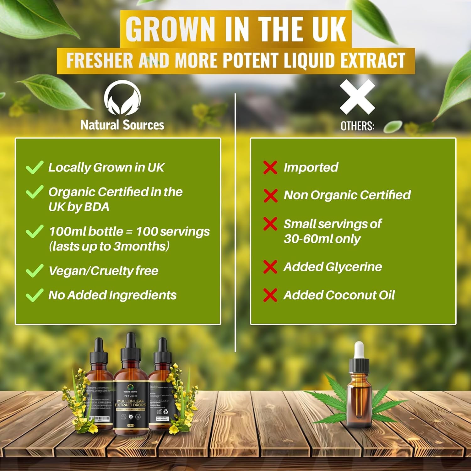 Mullein Leaf Extract for Lungs 100Mls -UK Grown & Produced-Highest Concentrate Tincture - Mullen Drops - XXL Size 100Ml = 100 Servings(3 Month Supply). GMDP ORG Certified/Vegan/Non Gmo/Cruelty Free.
