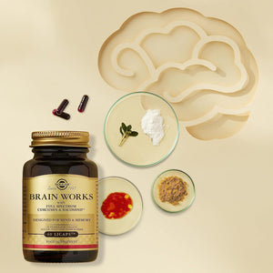 Solgar Brain Works with Full Spectrum Curcumin & Bacomind - Mind and Memory Vitamines - Choline Supplement - Supports Focus & Mental Performance - Gluten Free - Vegan Capsules - Pack of 60