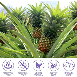 Feminine Balance Gummies, 60 Gummies Vegan Hawaiian Pineapple Flavor - Women’S Health PH Levels- Immune Support - Vegan & Gluten-Free