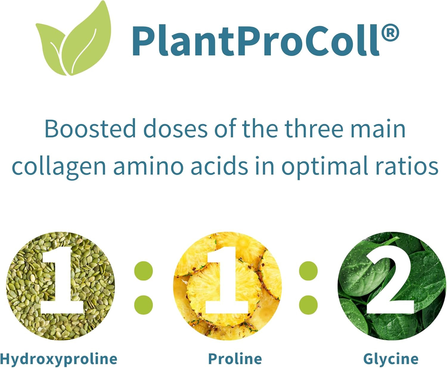Vegan Pro-Collagen Protein Powder, Plant-Based Peptide Supplement with Glycine, 21 Amino Acids & Vitamin C, Complete Collagen Boosting Formula, Mix into Drinks or Food, 35 Servings, by Igennus