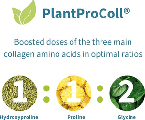 Vegan Pro-Collagen Protein Powder, Plant-Based Peptide Supplement with Glycine, 21 Amino Acids & Vitamin C, Complete Collagen Boosting Formula, Mix into Drinks or Food, 35 Servings, by Igennus
