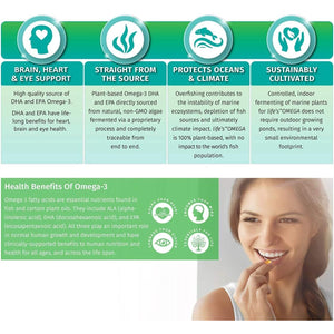 Vegan Omega 3 – EPA & DHA from Algae Oil – Premium Brand – Carrageenan-Free – Sustainable Algal Alternative to Fish Oil – Vegetarian Essential Fatty Acids – UK Made Supplement (120 Count (Pack of 1))