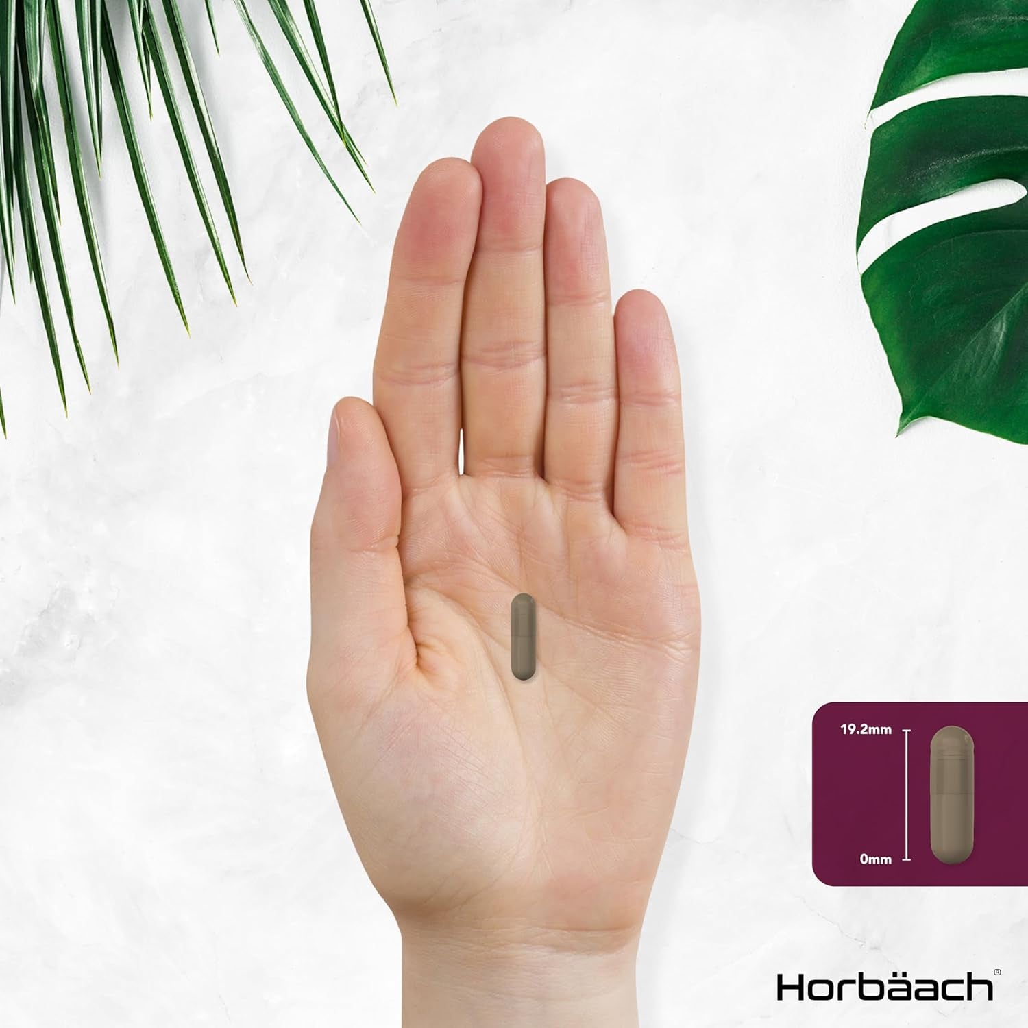 Resveratrol Supplement 1800Mg | 180 Capsules | Trans Resveratrol Complex with Grapeseed, Grape Skin, Red Wine Extract and Blueberry | Source of Polyphenols | by Horbaach