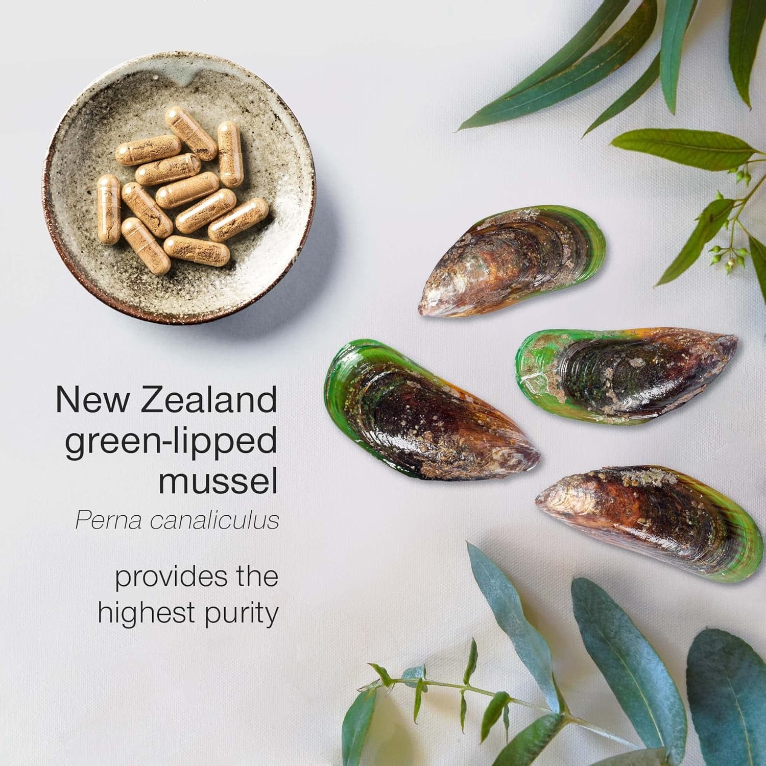 Green Lipped Mussel for Humans & Dogs - New Zealand Green Lipped Mussel Capsules 1000Mg - High Strength Joint & Mobility Supplement with Omega 3-100% Pure Powder - 90 Tablets - Made in the UK