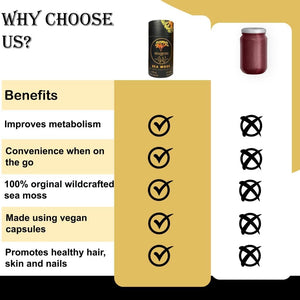 Sea Moss Capsules (1000Mg per Day) | 60 Vegan Capsules | Wildcrafted from Grenada (Also Known as Irish Moss) | Non GMO | Dr Sebi Approved (Sea Moss & Bladderwrack)
