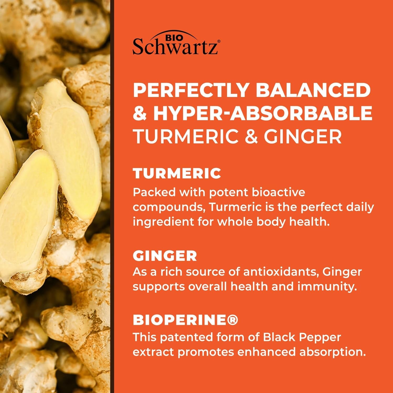 Turmeric Curcumin and Ginger - 95% Standardized Curcuminoids with Bioperine Black Pepper Extract for Ultra High Absorption - Natural Joint Support Supplement - Gluten-Free - 60 Capsules