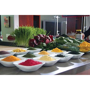 Dr. Schulze'S Original Superfood plus 400G - Vegan, Green, Phytonutritional Smoothy Powder - High Levels of B6, B12 and Protein