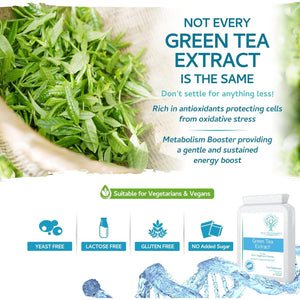 Green Tea Capsules - 12,480Mg - 90 Capsules of Premium Extract - Contains Polyphenols, Catechins & EGCG - Powerful Antioxidant for Immune Health - Not Green Tea Tablets - Made in UK