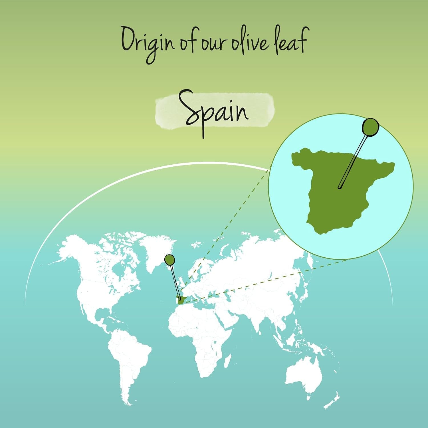 Vegavero Olive Leaf 7500 Mg | Highest Strength 40% Oleuropein | 15:1 Extract from Spanish Olive Leaves | NO Additives, Lab-Tested | 90 Capsules | Vegan