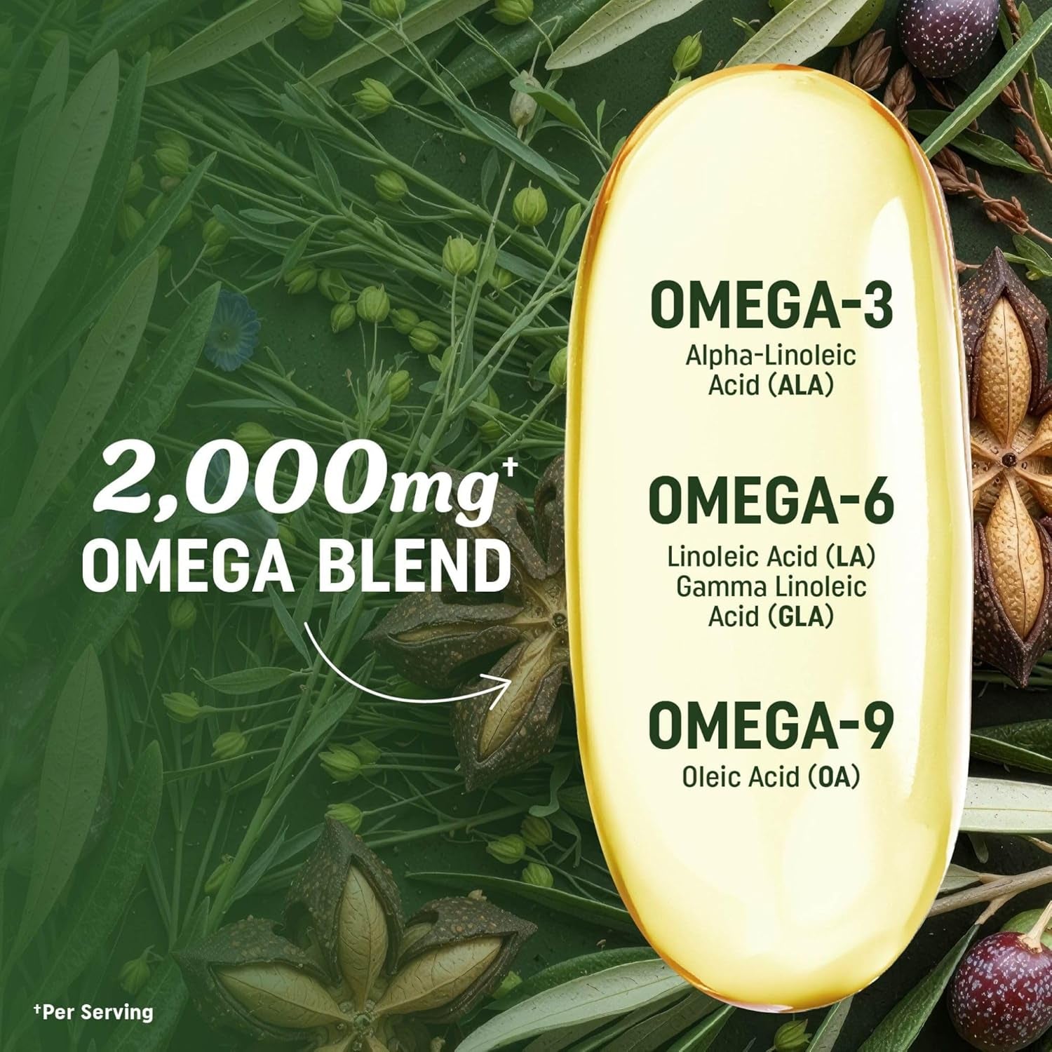 Vegan Omega 3 6 9 Supplements | 2000MG Plant-Based Triple Omega 369 Blend | Heart, Brain, Skin, and Eye Health Support | Vegan Fish Oil Alternative | Essential Fatty Acids Complex | Non-Gmo | 60 Ct