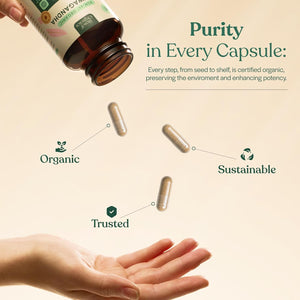 Organic Ashwagandha KSM-66® Extract - 30 Capsules 550Mg 1 Month Supply - High Strength Supplement for Performance Energy Boost Muscle Recovery Immune Support - Made in England by Reself Organics