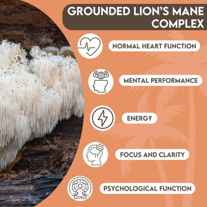 Grounded Lion’S Mane 4,000Mg High Strength 15:1 Extract | 120 Tablets | with Vitamin B1 & Black Pepper for Optimal Absorption | 2 Month Supply. UK Made Mushroom Supplement