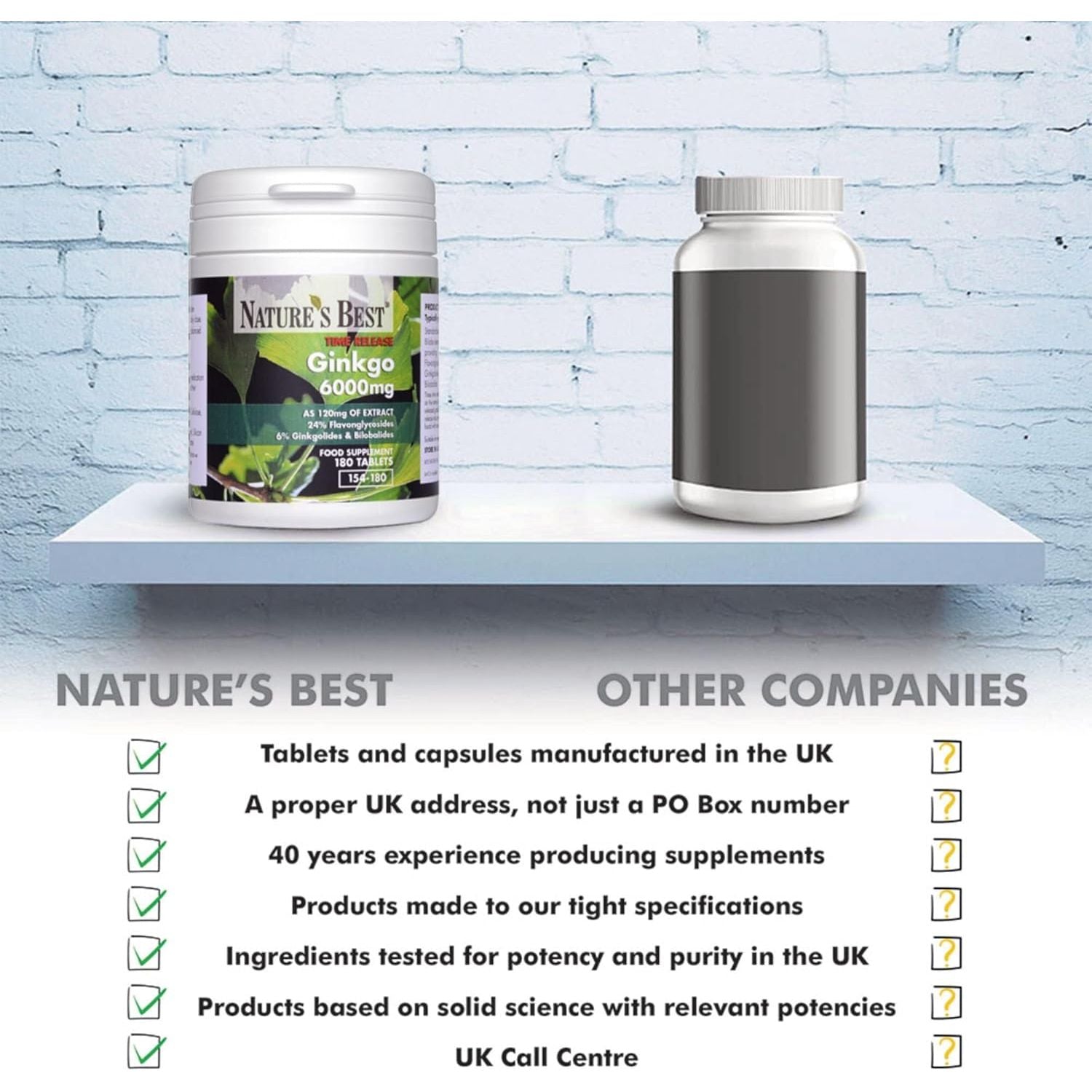 Nature'S Best Ginkgo Biloba 6000Mg - High Strength - Pure Grade Extract and Time Release Formula - UK Made - 120 Vegan Tablets (2 Months' Supply)