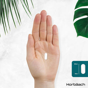 Creatine Monohydrate 3000Mg | 120 Creatine Tablets | High Strength | Pre and Post Workout Supplement for Men and Women | Suitable for Vegetarians and Vegans | by Horbaach