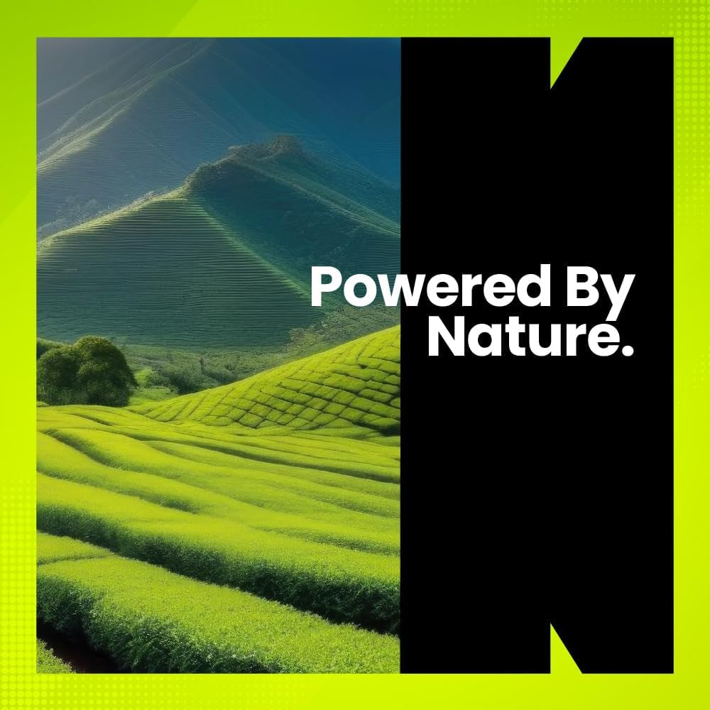 Bacopa Monnieri 500Mg | Cognitive Nootropic Supplement | 120 Vegan Capsules | 4-Month Supply | Uk-Made Supplement | Enhance Learning, Increase Focus & Improve Memory | Fitimins