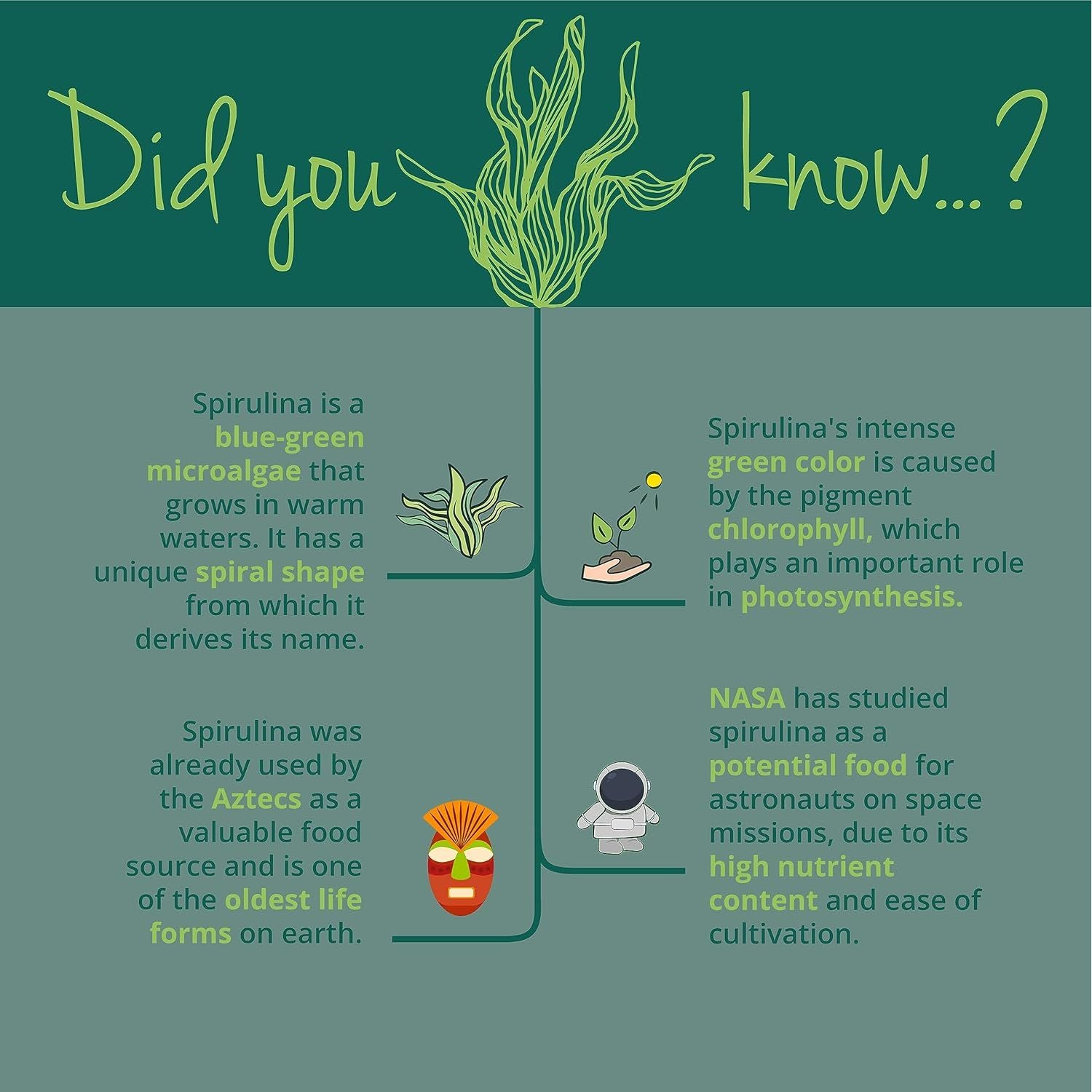 Vegavero Organic Spirulina 4000 Mg | 300 Tablets | NO Additives | Natural Source of Protein, Vitamins & Minerals | Vegan