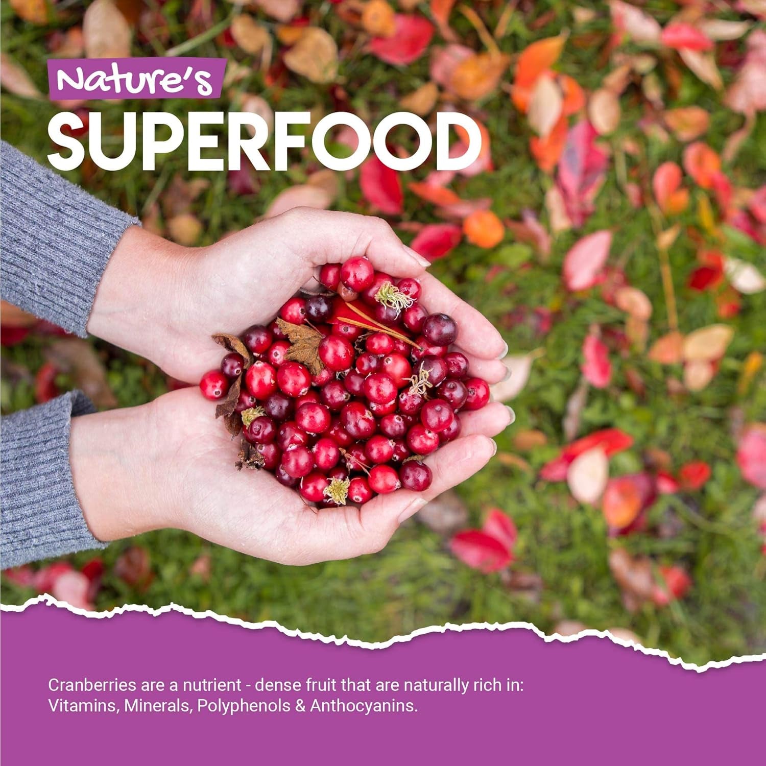 Cranberry Gummies 1000Mg - High Strength Cranberry Supplement - Not Capsules or Tablets - Cranberry Flavour - Kosher, Halal - 60 Vegan Gummies.