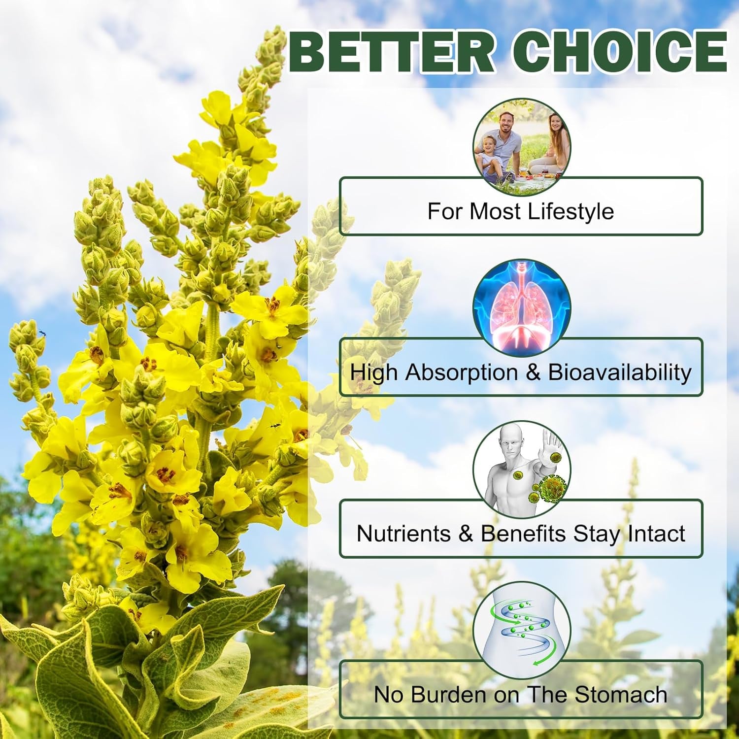Mullein Gummies 2000Mg- Mullein Leaf Extract for Lungs, Lung and Respiratory System Support, Vegan