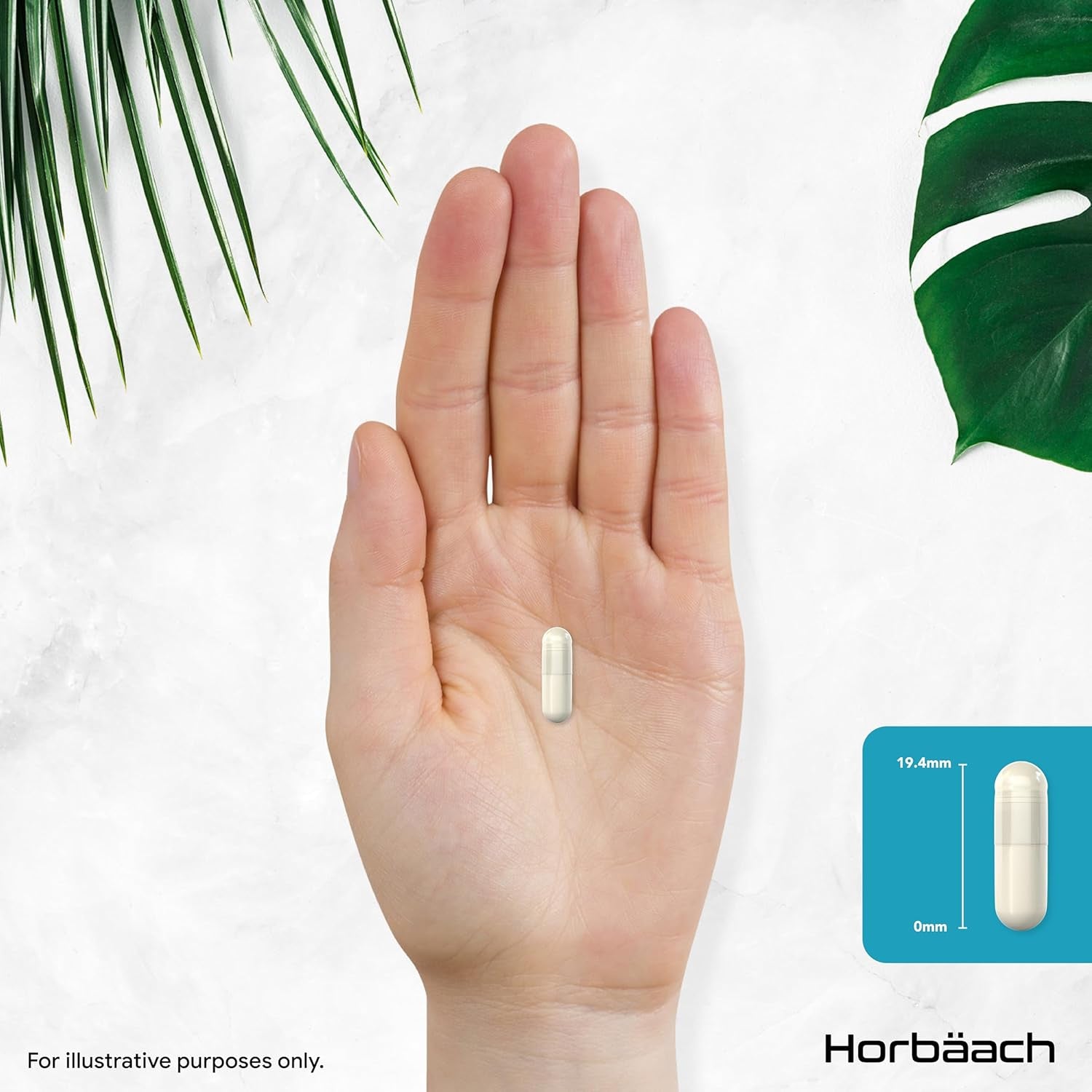 Acetyl L-Carnitine 500Mg | 90 Vegan Capsules | High Strength ALCAR Supplement | Amino Acid | by Horbaach