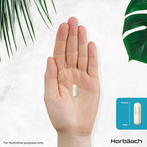 Acetyl L-Carnitine 500Mg | 90 Vegan Capsules | High Strength ALCAR Supplement | Amino Acid | by Horbaach