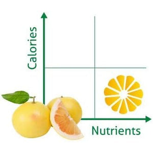 Citrosept Organic Grapefruit Seed Extract with Bioflavonoids GSE 1500, 50 Ml