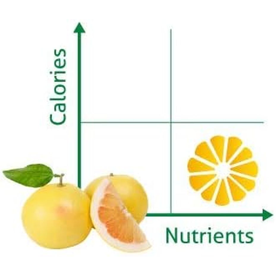 Citrosept Organic Grapefruit Seed Extract with Bioflavonoids GSE 1500, 50 Ml