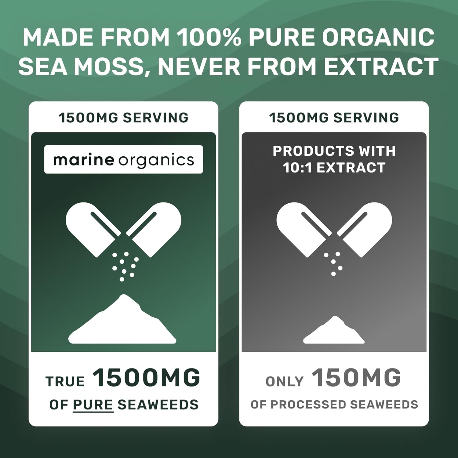 Marineorganics Organic Sea Moss Capsules - 90 Irish Sea Moss and Bladderwrack Capsules - Iodine Tablets - UK Wild Harvested Seamoss - High Potency