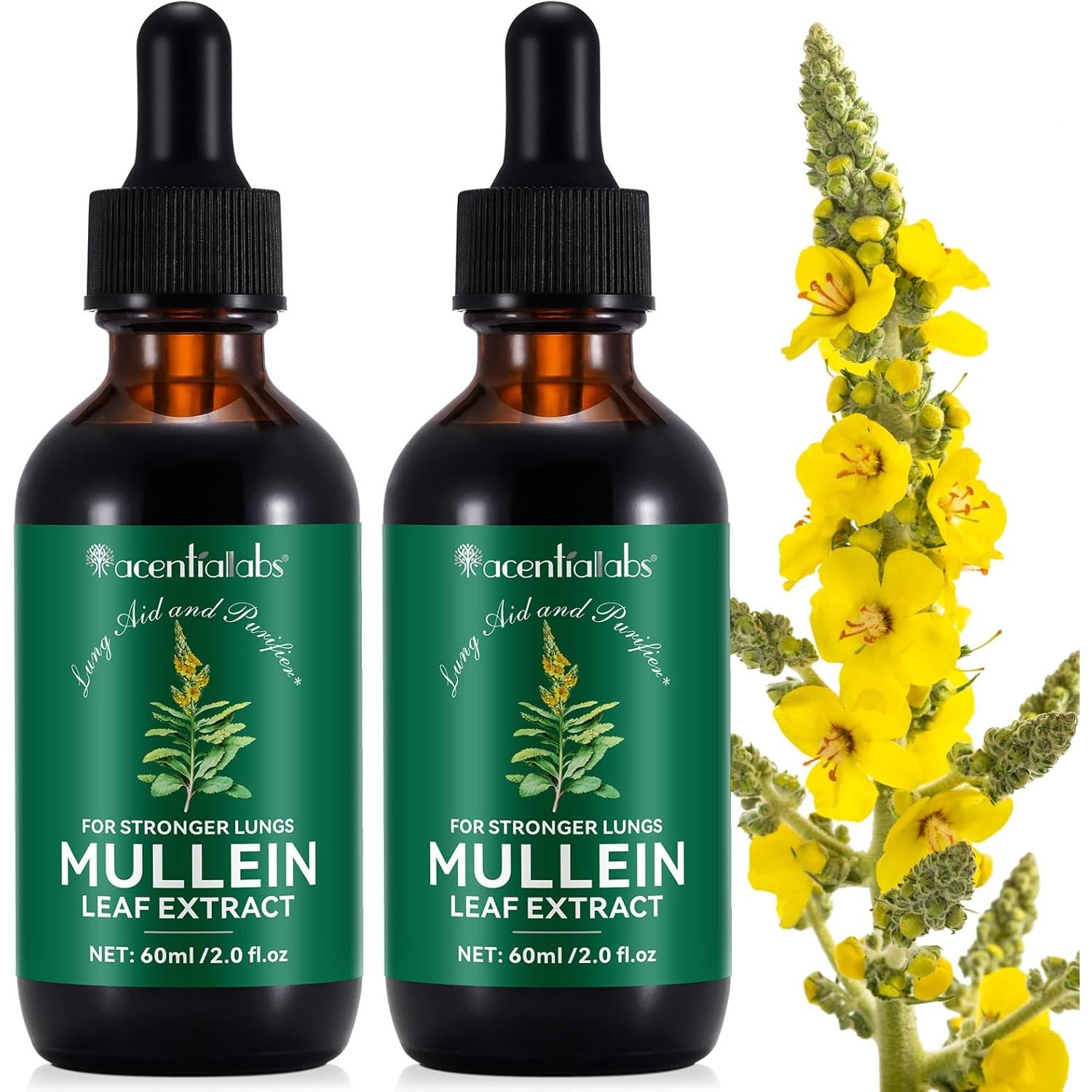 Mullein Leaf Extract for Lungs, Mullein Drops, Powerful Mullein Leaf Liquid Drops, Vegan Mullein Leaf Sublingual Fast Absorption - 60Ml*2-4 Month Supply