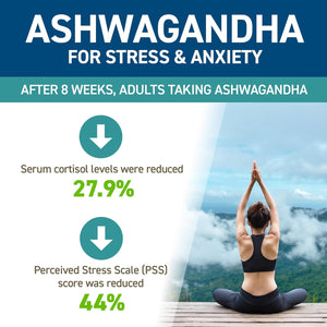 Applied Nutrition Ashwagandha KSM-66 - Premium Ashwagandha Herbal Supplement for Energy, Anxiety, Stress, Made in the UK (60 Capsules)