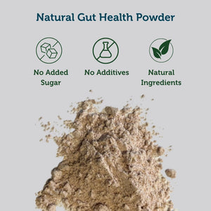 Biotiful 7-In-1 Gut Health Powder – High in Prebiotics & Probiotics for Digestive Health – Source of Protein & Vitamins (B5, B12, D3) – Affordable Everyday Price – Natural, Cacao & Cherry, 30 Servings