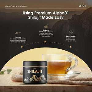 Himalayan Shilajit Resin 30G – Gold Grade 100% Pure Gilgit-Baltistan Source – Rich in 80% Fulvic & Humic Acid, Minerals – by Alpha01