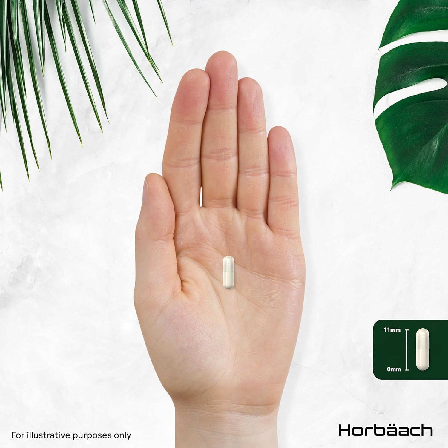 Wild Yam Capsules 1200Mg | High Strength Wild Yam Root Extract | 100 Capsules (Over 3 Months Supply) | Supplement for Men & Women | by Horbaach