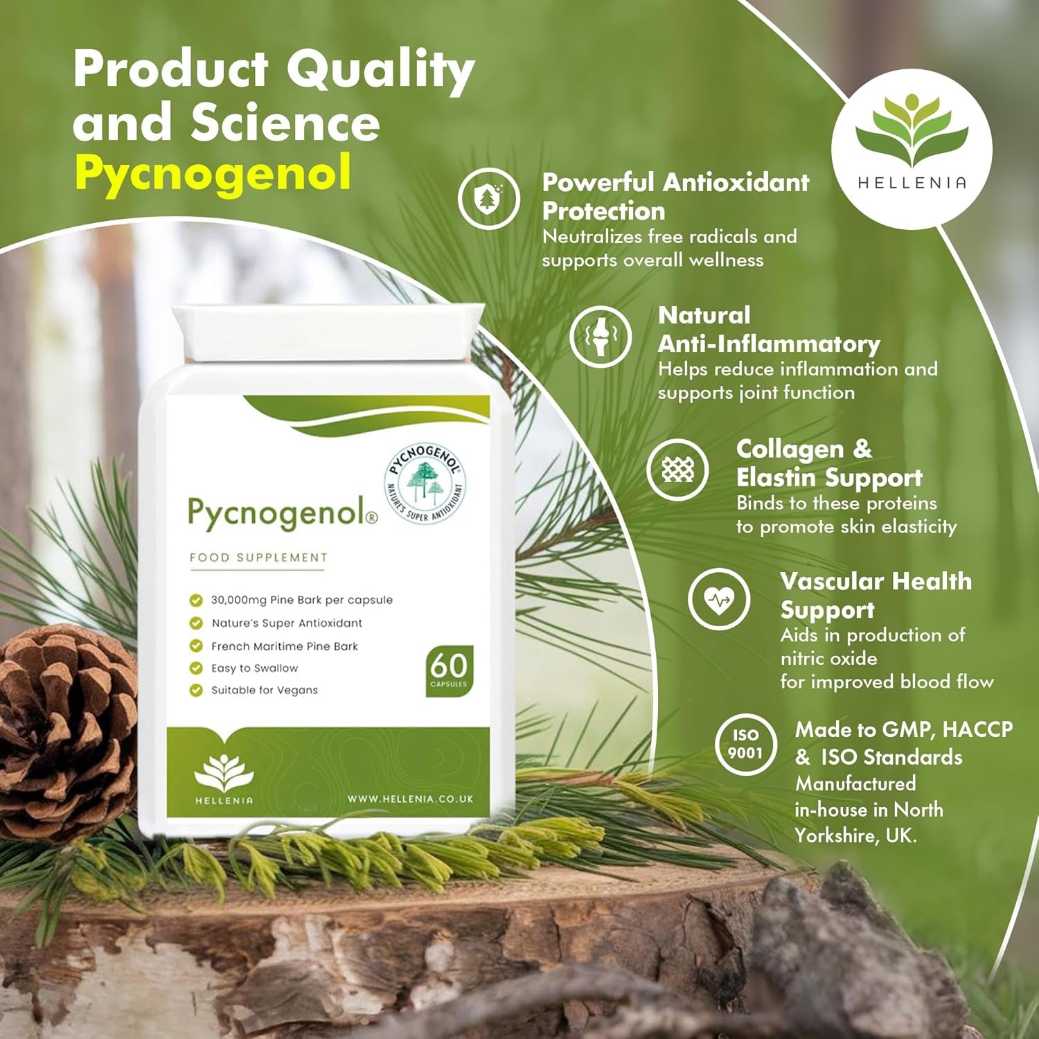 Pycnogenol 30Mg (60 Capsules) | French Maritime Pine Bark Extract | Providing Naturally Powerful Bioflavonoids | High Bioavailability Suitable for Vegans - Made in the UK by Hellenia