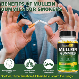 Mullein Gummies - Mullein Leaf Extract for Lungs, Mullein Leaf Gummies 2000Mg - Lung and Respiratory System Support, Vegan & Non-Gmo