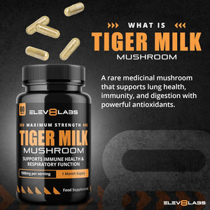 Tiger Milk Mushroom Capsules 1000Mg - High Strength | 60 Capsules | Natural Adaptogen for Immunity & Respiratory Health | Supports Daily Wellness & Vitality | 1 Month Supply, 2 a Day