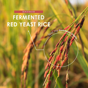 Red Yeast Rice 600Mg - 2.4Mg Monacolin K - 90 Vegan Capsules - High Strength Monascus Purpureus Supplement - 3 Months Supply - Resealable and Recyclable Pouch by Alpha01