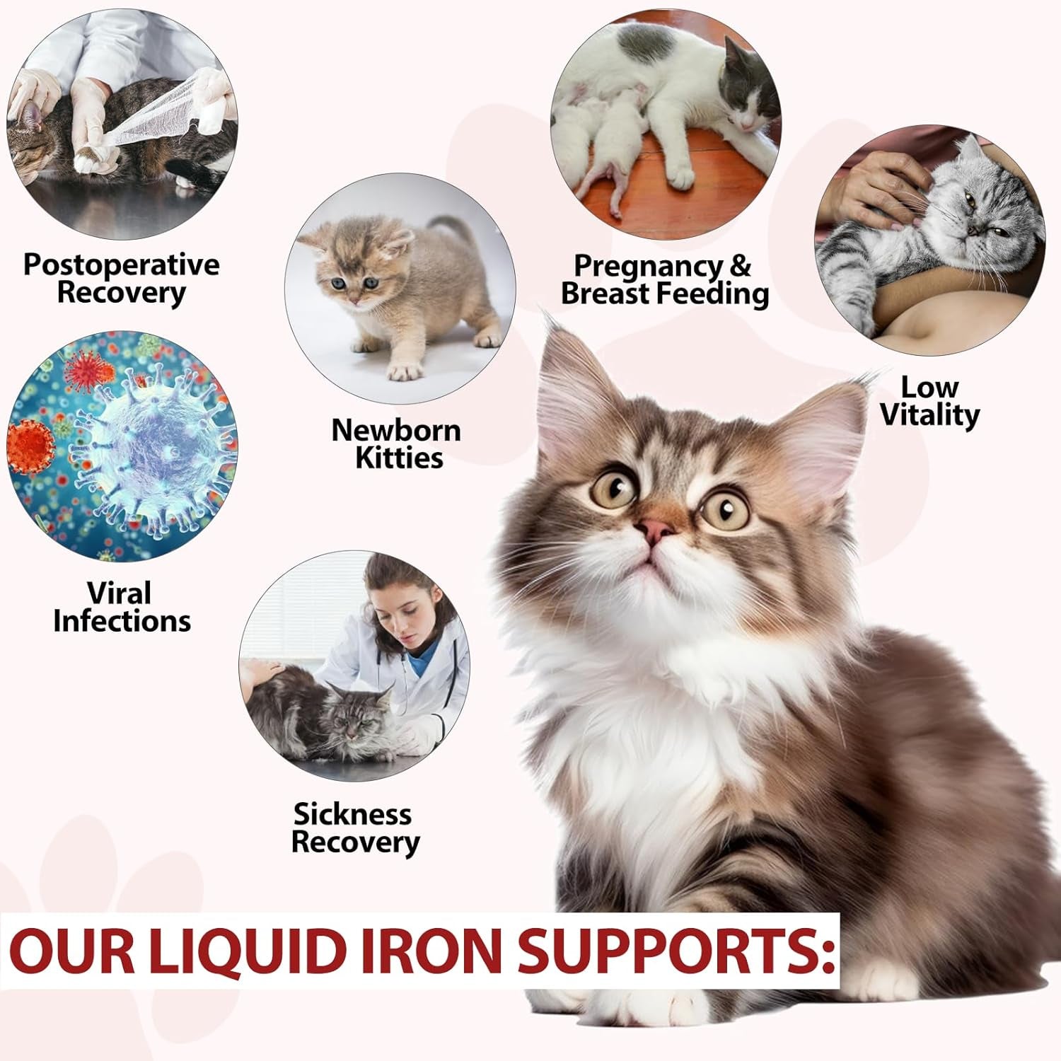 Liquid Iron Drops for Cats, Liquid Supplement for Cats Supports Anemia, Low Enery Levels and Lethargy, Improve Energy Levels & Vitality, Pet Supplies Cat Supplement Vitamins, Caramel Flavor - 2 Fl.Oz
