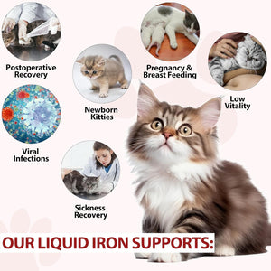 Liquid Iron Drops for Cats, Liquid Supplement for Cats Supports Anemia, Low Enery Levels and Lethargy, Improve Energy Levels & Vitality, Pet Supplies Cat Supplement Vitamins, Caramel Flavor - 2 Fl.Oz