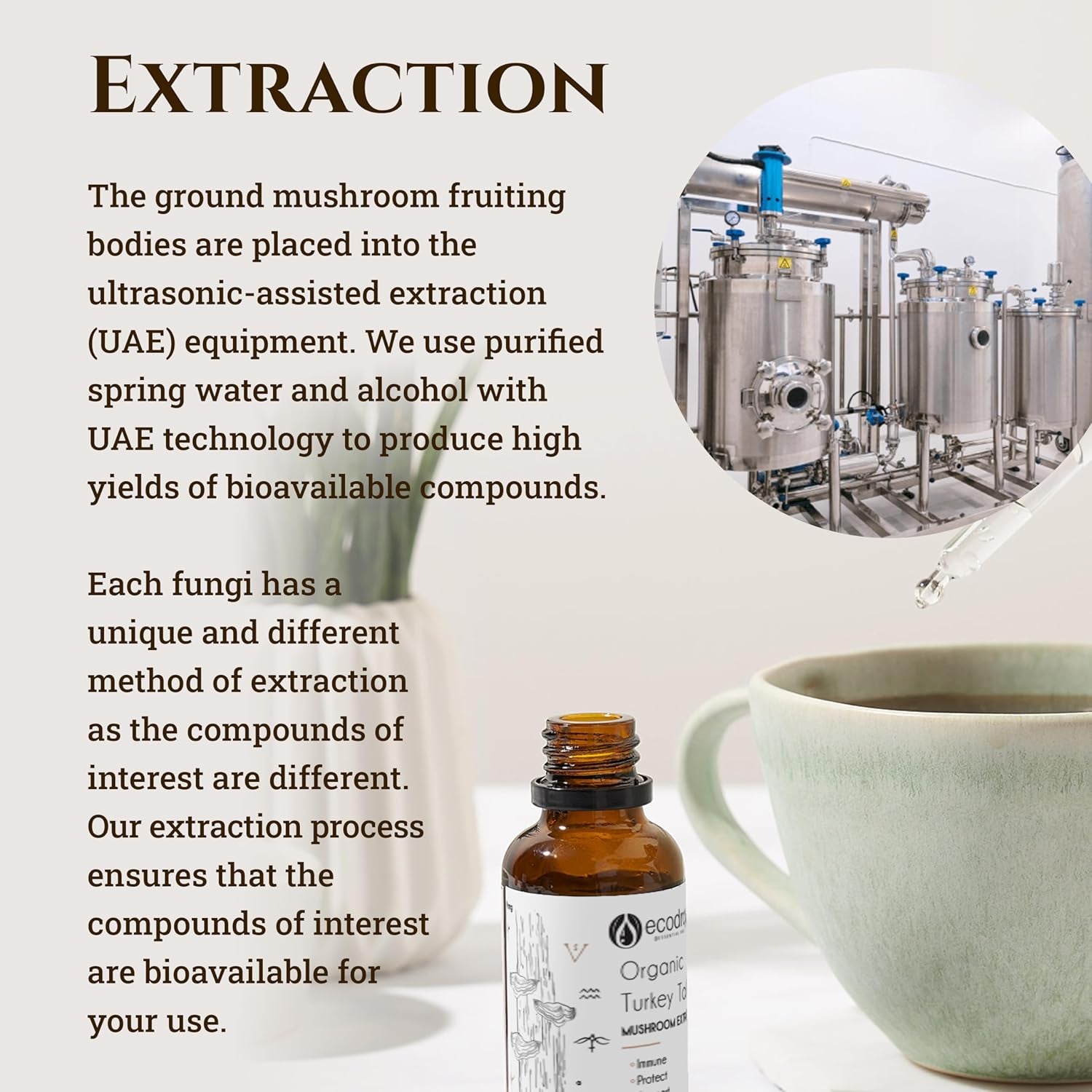 Ecodrop Organic Turkey Tail Mushroom I 50Ml I Double Extract Liquid Tincture Turkey Tail Supplement I Heavy Metal-Free, Nordic Sourced, & Fully Traceable I Manufactured in Finland