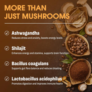 Mushroom Coffee, over 10 Superfood Mushrooms with Adaptogens & Probiotics, Instant Arabica Coffee with Lion'S Mane, Chaga, Reishi, Cordyceps & More, for Focus & Energy, 150G