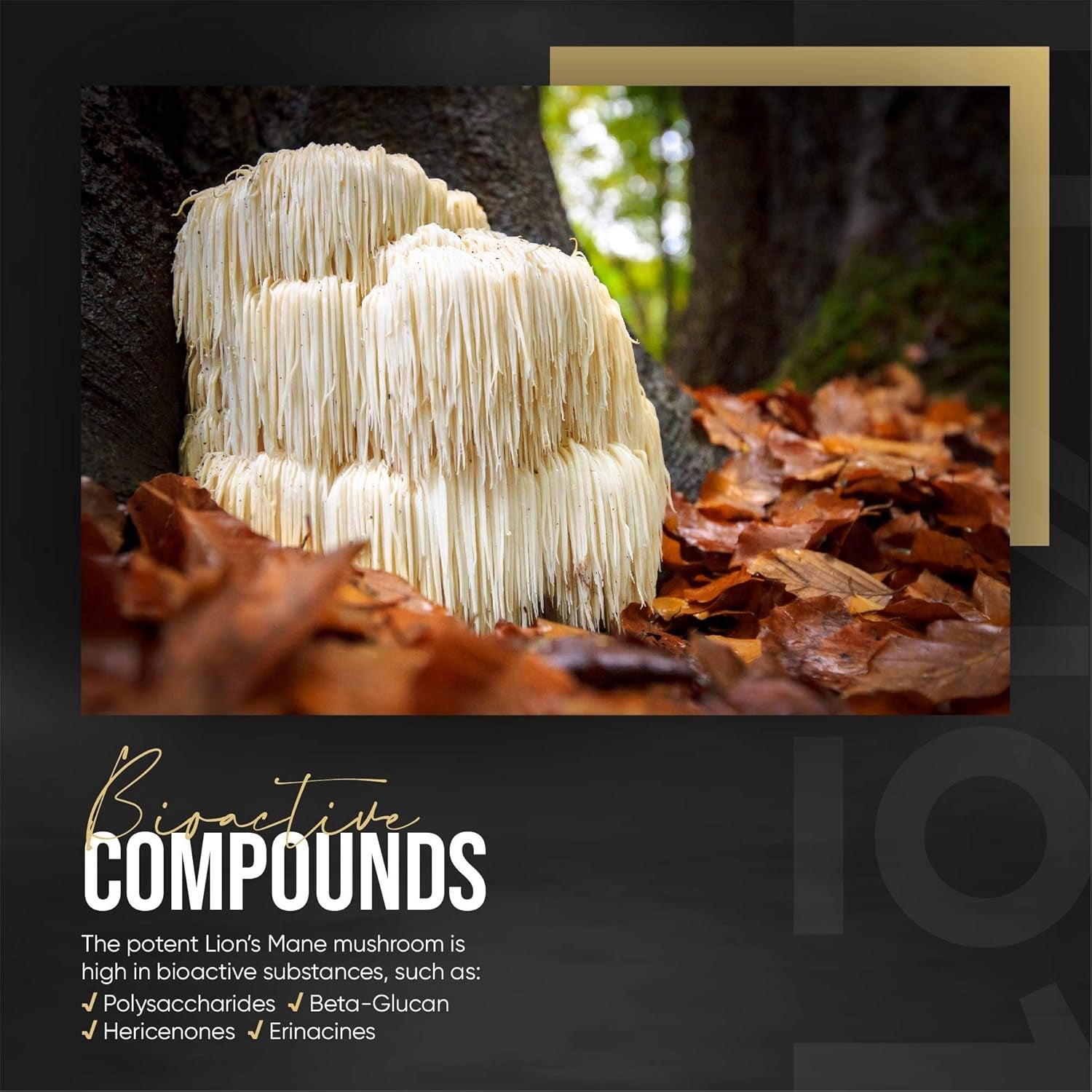 Organic Lions Mane Supplement 28,000Mg – 50% Polysaccharides (700Mg) – 90 Vegan Capsules – High Strength Mushroom Supplement – Resealable and Recyclable Pouch – by Alpha01