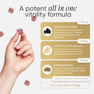 Revigr, Max Strength 2,765Mg, 90 Shilajit Gummies, Authentic Himalayan Origin + Lions Mane Mushroom, Ashwagandha, Magnesium, Zinc & Vitamin C, Vegan & Sugar-Free,Passion Fruit Flavour (45 Days Supply)