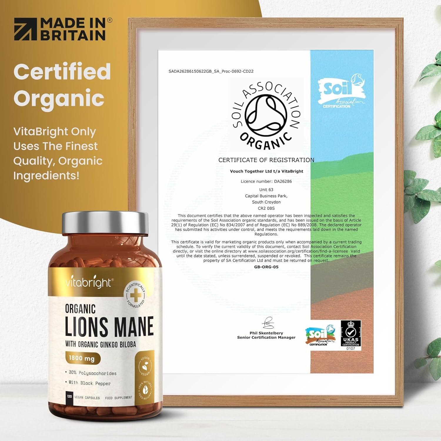 Vitabright Lions Mane Supplement Capsules | Mushroom Complex | 3600 Mg per 2 Capsules | 4 Month Supply | Organic Lions Mane Powder & Gingko Biloba | High Strength Lionsmane Supplement | Made in UK