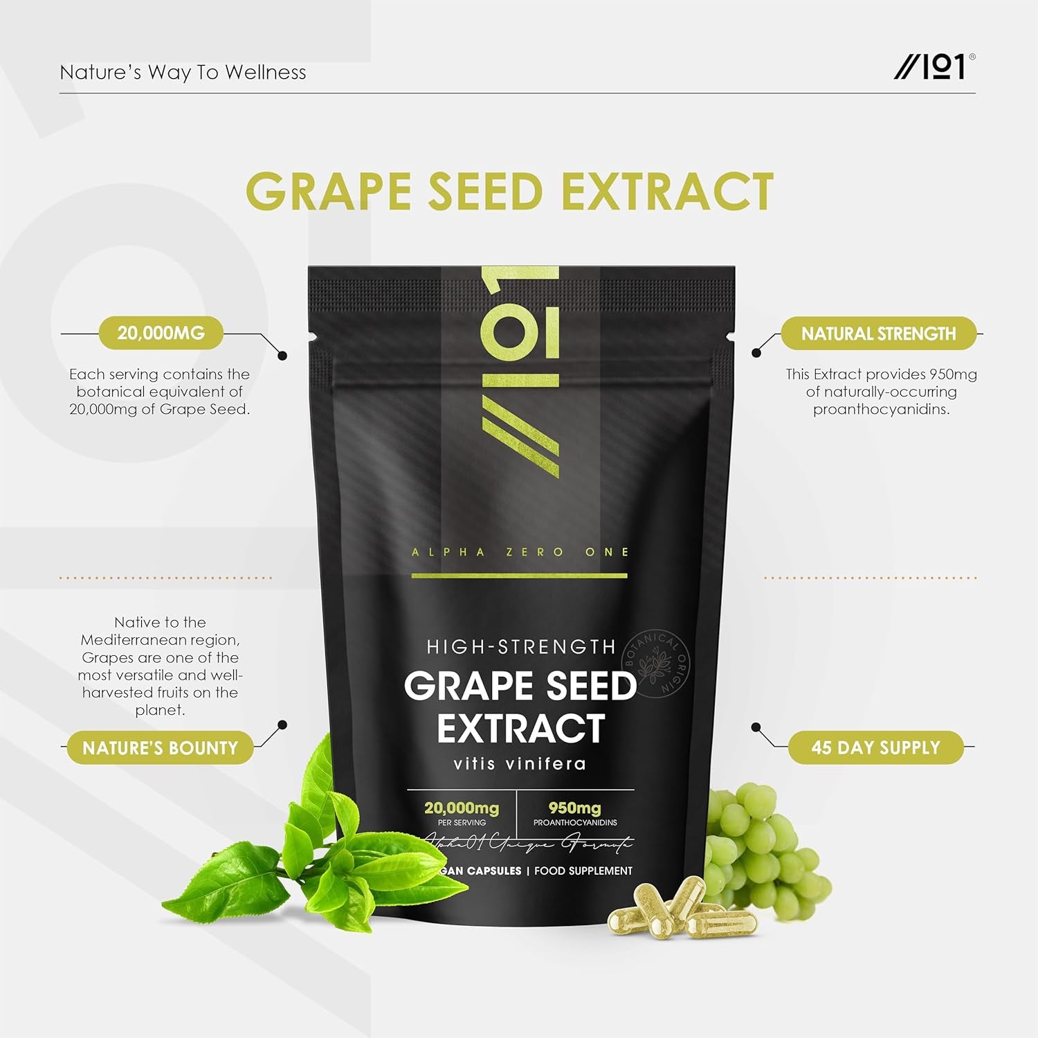 Grapeseed Extract 20,000Mg - Standardised 95% OPC Proanthocyanidins - Made with Italian Vineyard Grapes - 90 Vegan Capsules (3 Months Supply) - Resealable and Recyclable Pouch by Alpha01